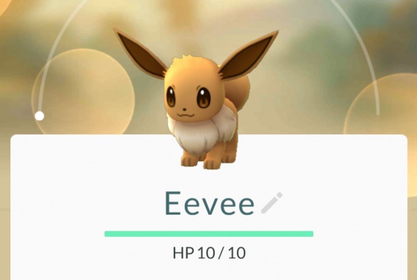 It's hip, it's cool, Eevee